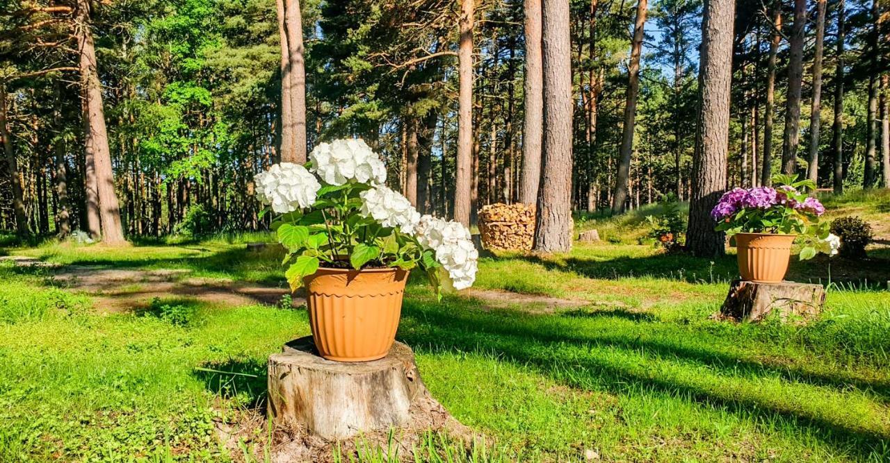 Guest House Saulgriezes Ніца Екстер'єр фото